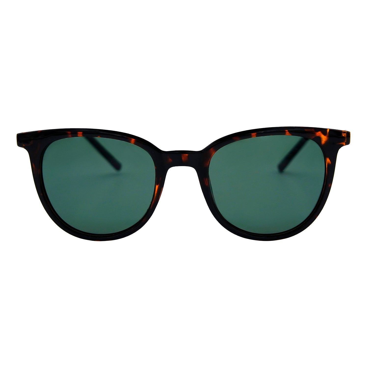 #color_TORTOISE