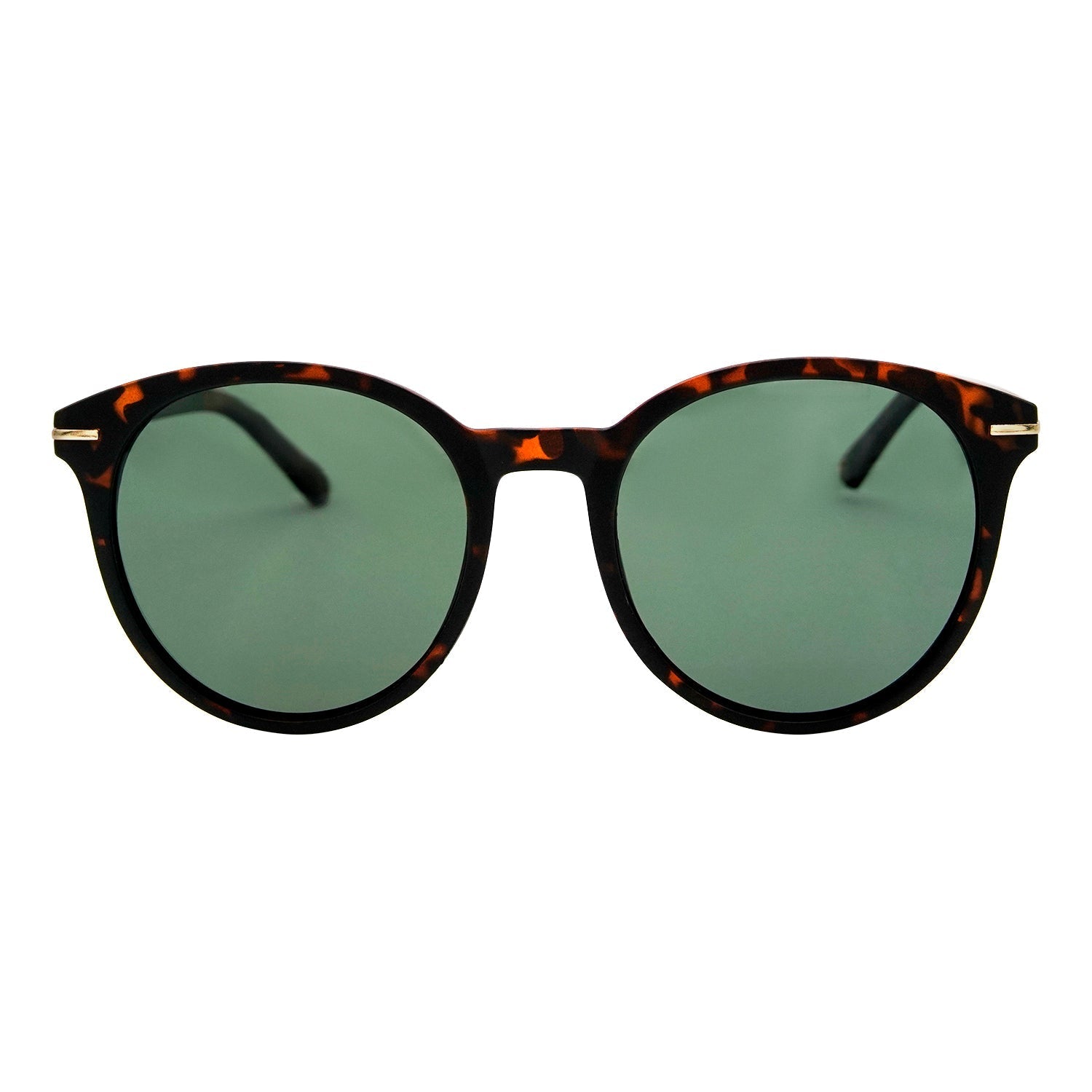 #color_TORTOISE