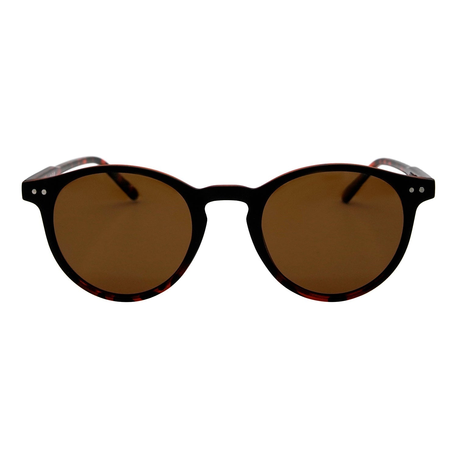 #color_TORTOISE
