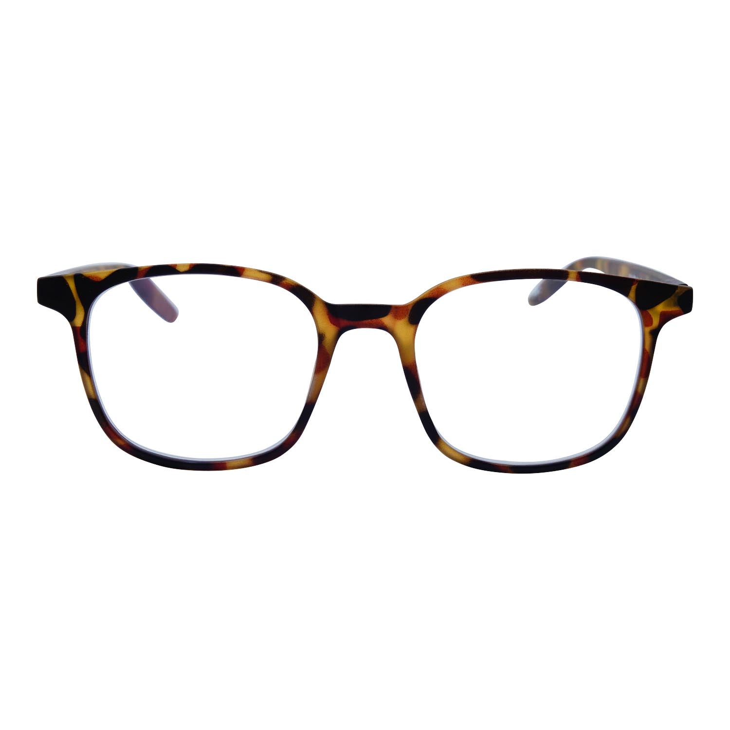 #color_MAT TORTOISE
