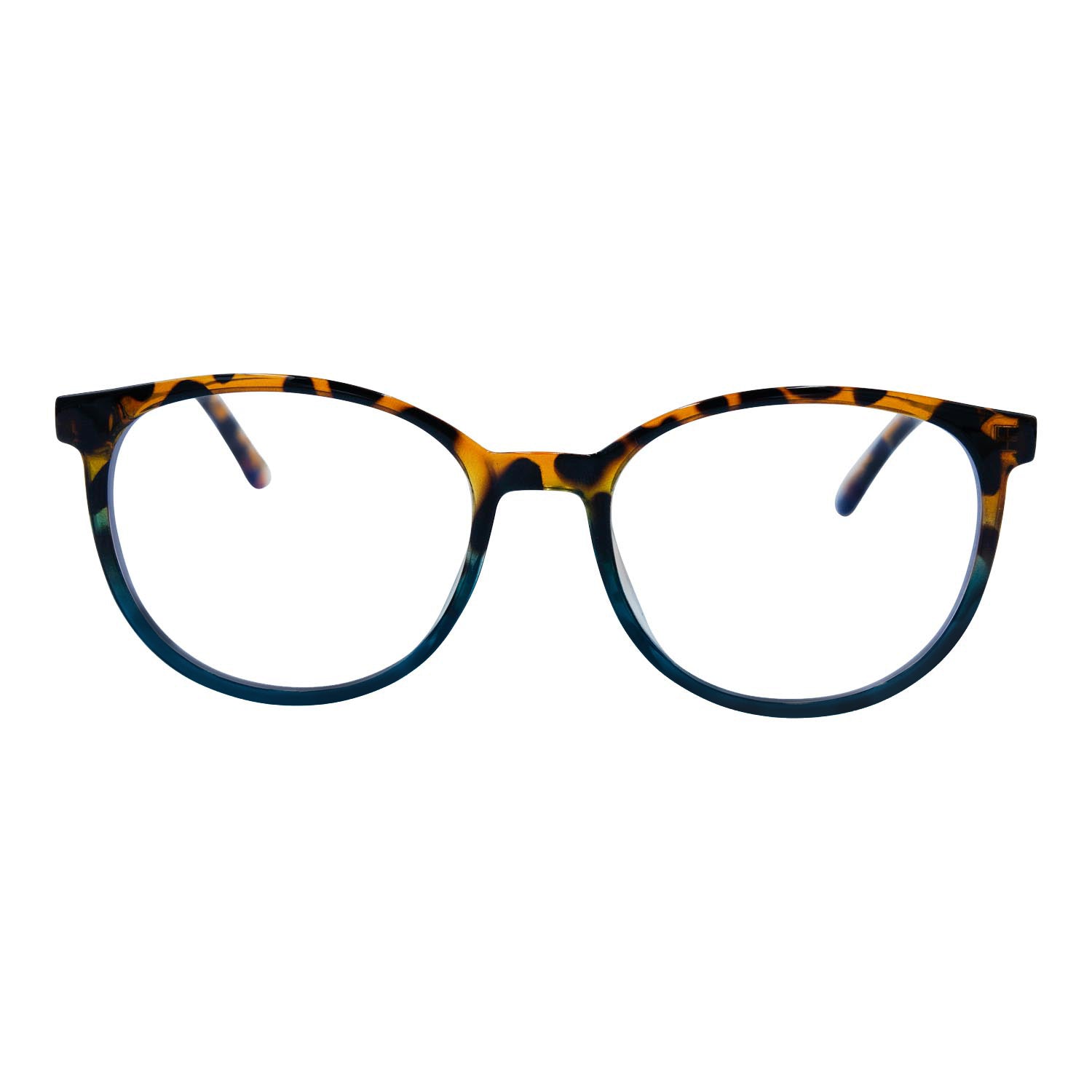 #color_TORT - BLUE